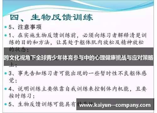 跨文化视角下全球青少年体育参与中的心理健康挑战与应对策略