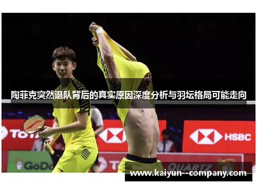 陶菲克突然退队背后的真实原因深度分析与羽坛格局可能走向