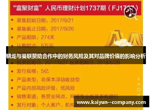 骁龙与曼联赞助合作中的财务风险及其对品牌价值的影响分析